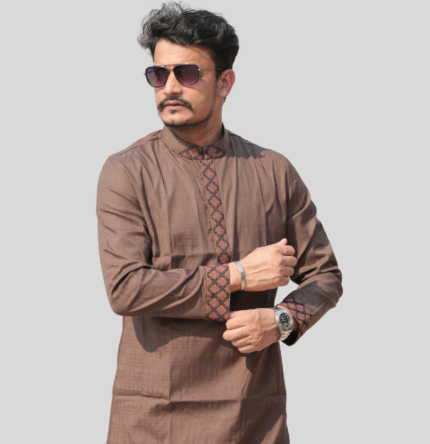 Premium Panjabi-AP1915