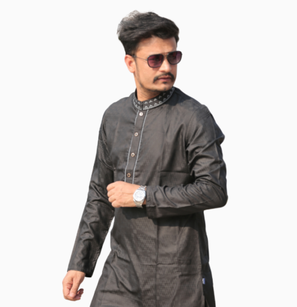 Premium Panjabi - AP2206